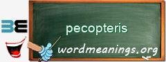 WordMeaning blackboard for pecopteris